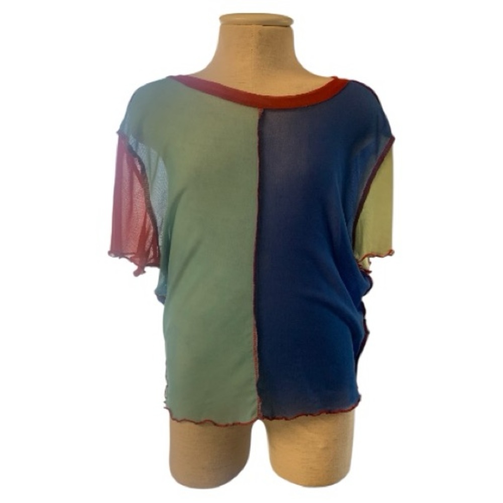 Colorblock Sheer Top